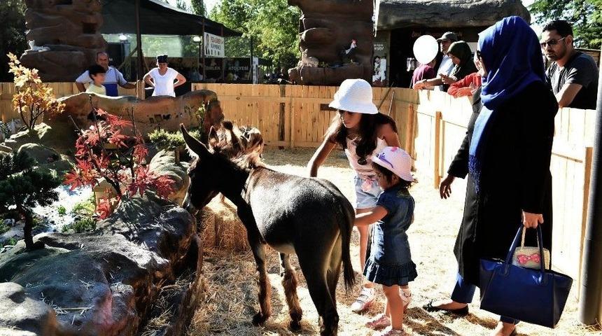 Anfa&rsquo;nın Ank&ouml;y&rsquo;&uuml; Festivalde B&uuml;y&uuml;k İlgi G&ouml;r&uuml;yor