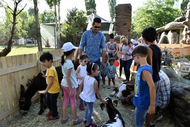 Anfa’nın Anköy’ü Festivalde Büyük İlgi Görüyor