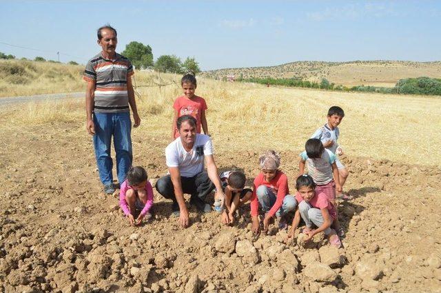 Bu Köyün Toprağı Akrep Kaçırıyor