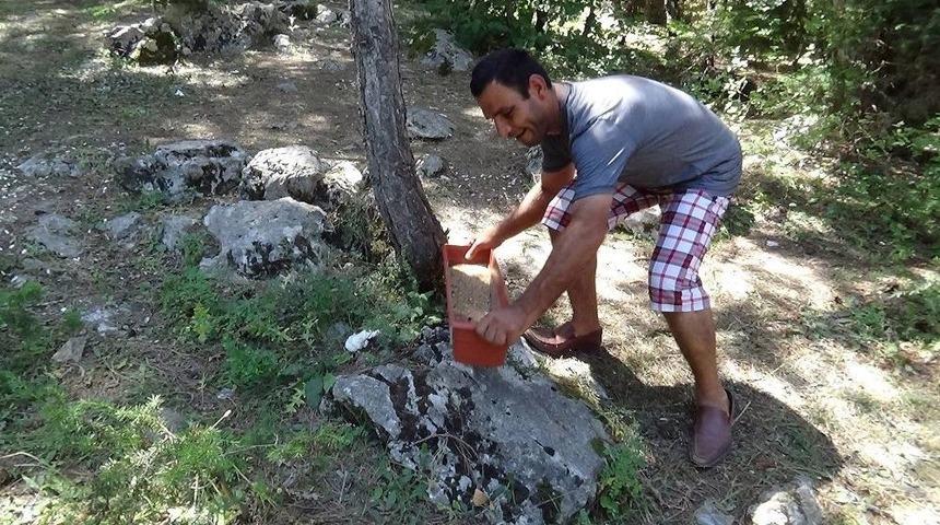 Engelliler Doğaya Yem Ve Su Bıraktı