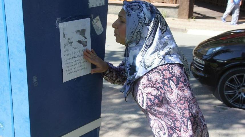 G&uuml;nlerdir Kaybolun Kedisini Arıyor