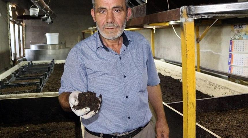 Elde Ettiği Solucan G&uuml;bresiyle Toprağın Verimini Arttırıyor