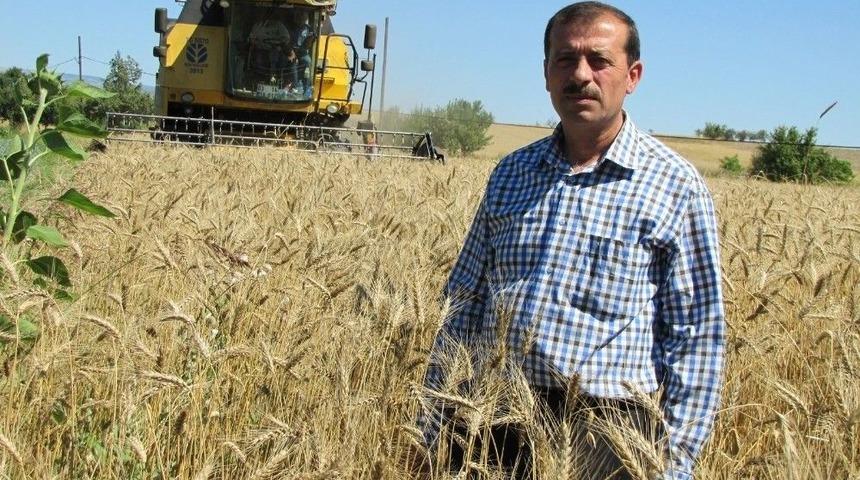 Hisarcık&rsquo;ta Hububat Rekoltesi Y&uuml;kseldi