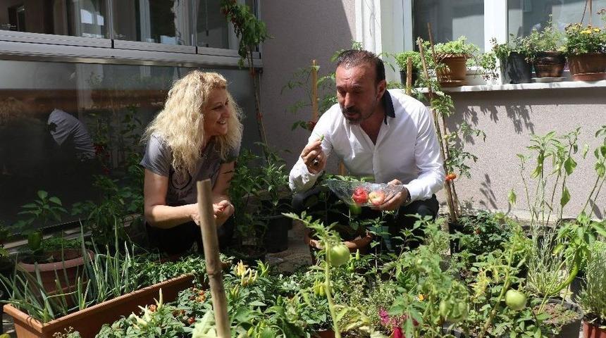 (&ouml;zel Haber) Dikiş Nakış Değil, Şehrin G&ouml;beğinde Bağ Bah&ccedil;e Yapıyorlar