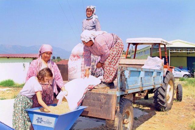 Çerçioğlu Üreticiye Destek Olmaya Devam Ediyor