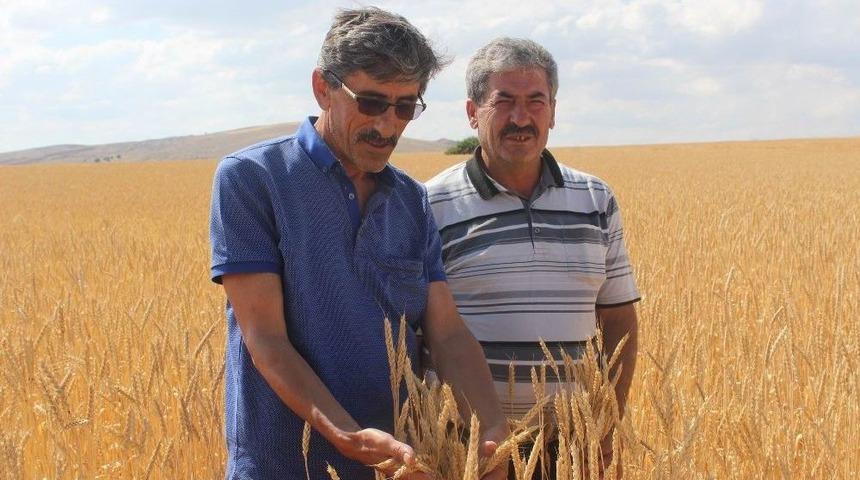 Ziraat Odası Başkanı &Ccedil;etindağ&rsquo;dan Bi&ccedil;erd&ouml;ver Uyarısı