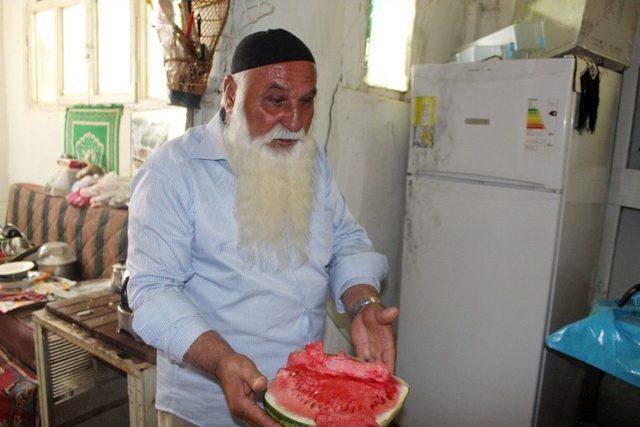 Türbeye Dadanan Hırsızlar Karpuz Ve Kola Çaldı