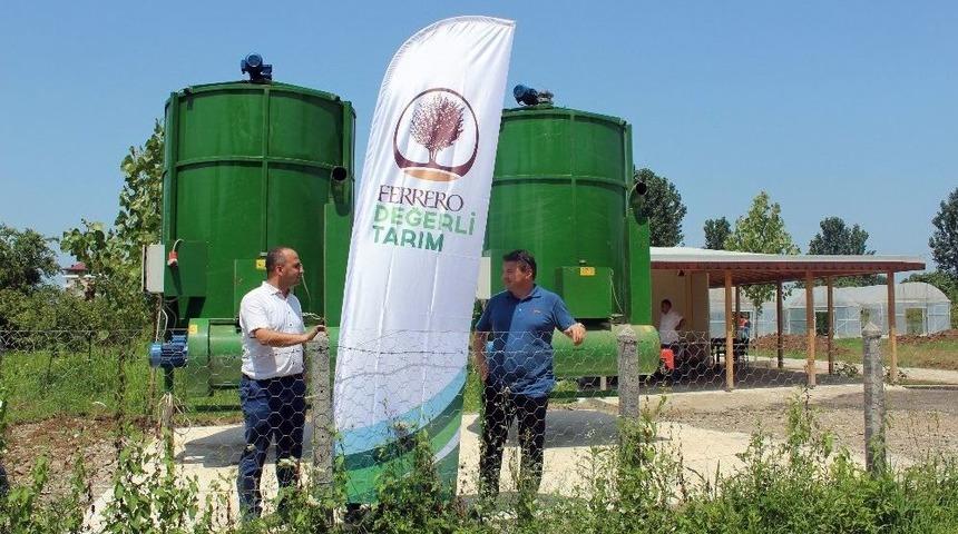 Fındık &Uuml;reticilerine Kurutma Desteği