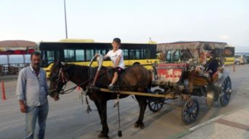 Mudanyalı Minikler Faytonla Eğlendi