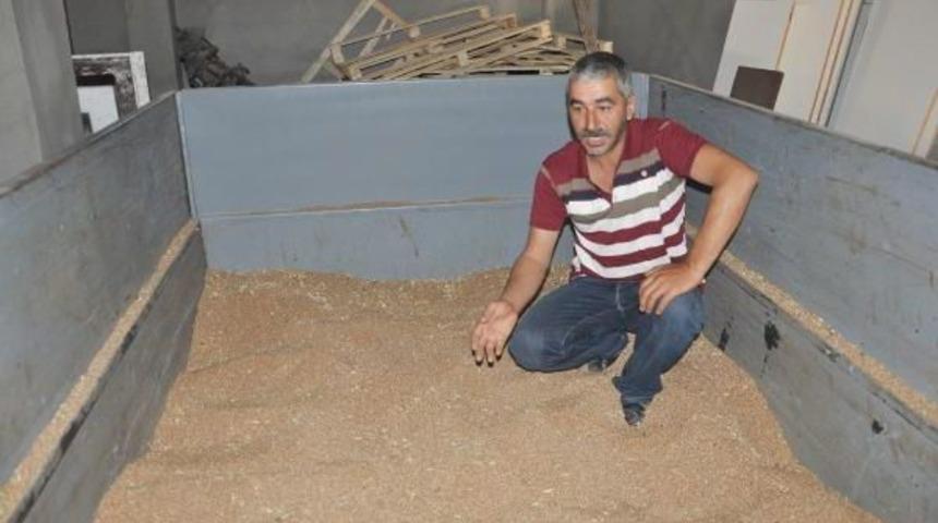 &Ccedil;ift&ccedil;inin 'zekat' Olarak Ayırdığı 3 Ton Buğday &Ccedil;alındı