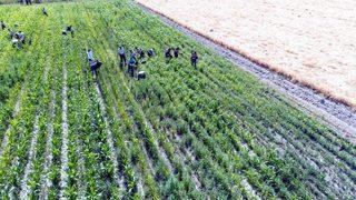 Kayseri’de Uyuşturucu Operasyonları