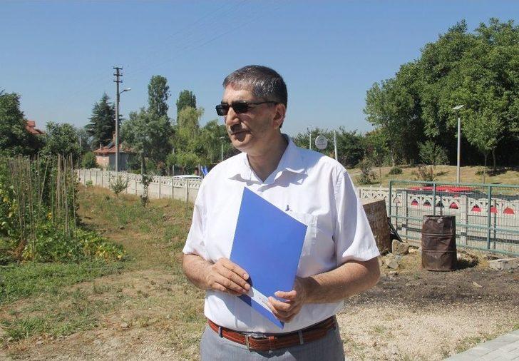 Dona Dayanıklı Fasulye Çeşidi Geliştirildi G1