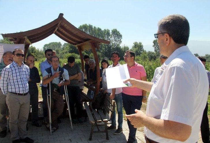 Dona Dayanıklı Fasulye Çeşidi Geliştirildi G2