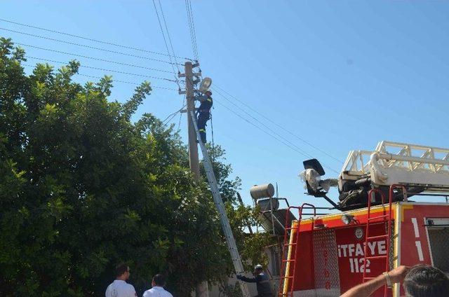 Odunlukta Çıkan Yangın Elektrik Hattını Kopardı