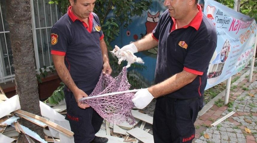 Mazgala D&uuml;şen Yavru Kediyi İtfaiye Kurtardı