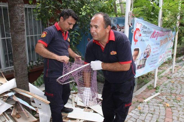 Mazgala Düşen Yavru Kediyi İtfaiye Kurtardı