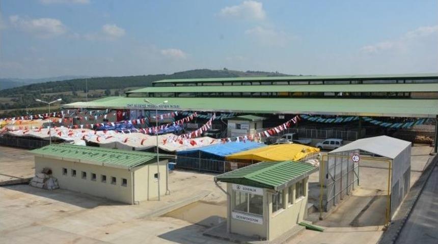 İzmit&rsquo;te Kurbanlıklar 16 Ağustos&rsquo;ta Pazara İnecek