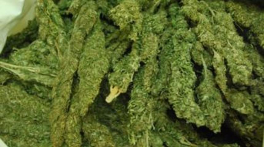 Kocaeli&rsquo;de Son Bir Ayda 318 Kilo Esrar Ele Ge&ccedil;irildi