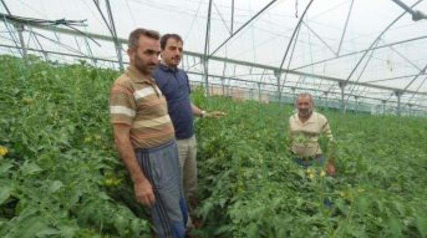 Ak&ccedil;aabat&rsquo;ta Şehirleşme İle Birlikte Tarım Arazileri K&uuml;&ccedil;&uuml;l&uuml;yor