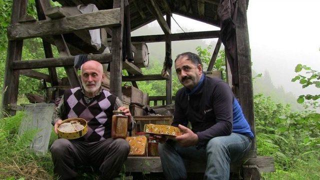 Artvin’de Bal Ormanlarında Bal Hasadı Başladı