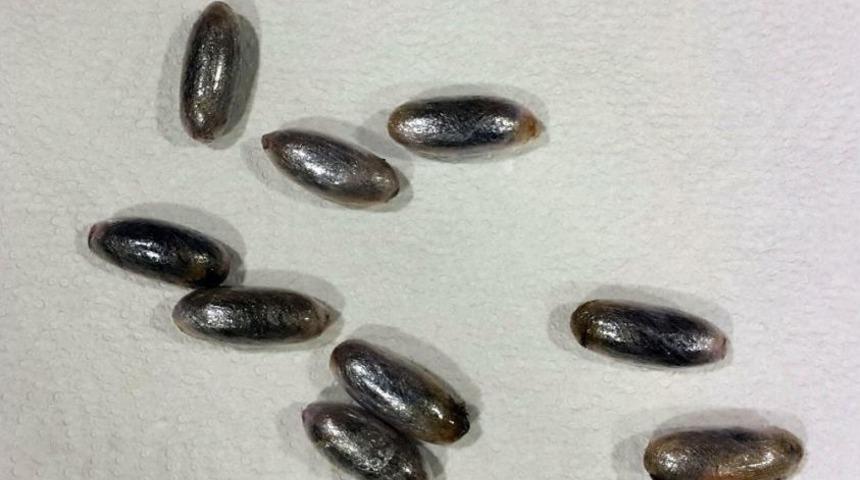 Faslı Kuryenin Midesinden 102 Kaps&uuml;l Esrar &Ccedil;ıktı