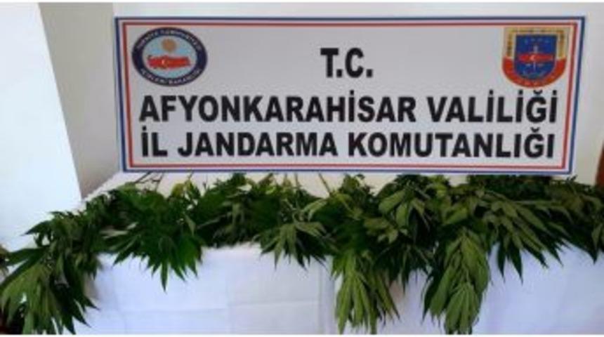 Jandarma Esrar Ele Ge&ccedil;irdi