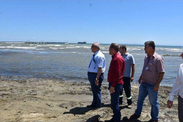 Şarköy’de Kıyı Temizleme Çalışmalarını İnceledi