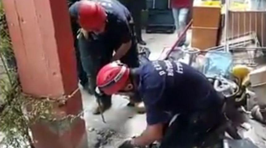 Atık Su Borusuna Giren Kediyi Betonu Delerek Kurtardılar