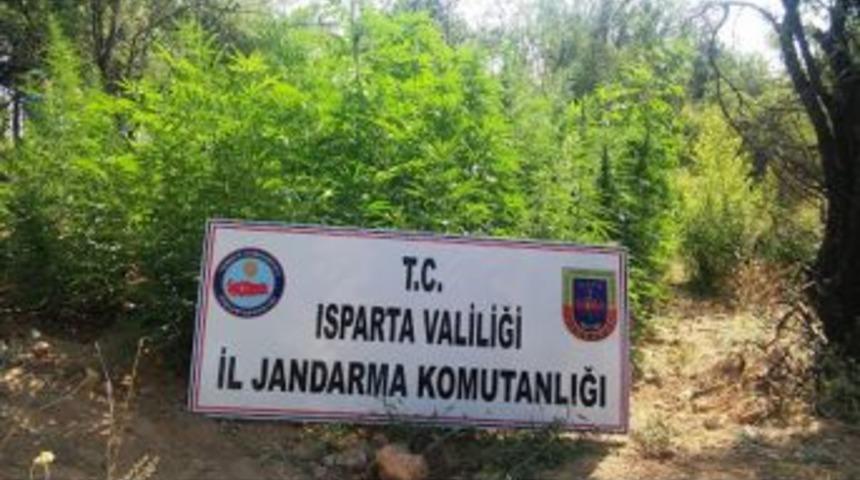 Isparta&rsquo;da Uyuşturucu Operasyonu
