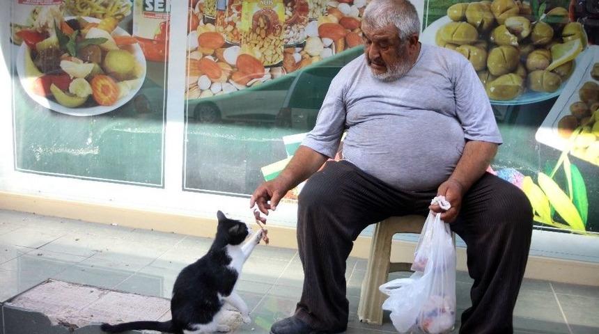 Kazancının Yarısını Kedilere Harcıyor
