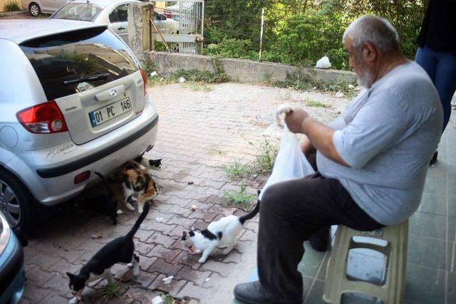 Kazancının Yarısını Kedilere Harcıyor