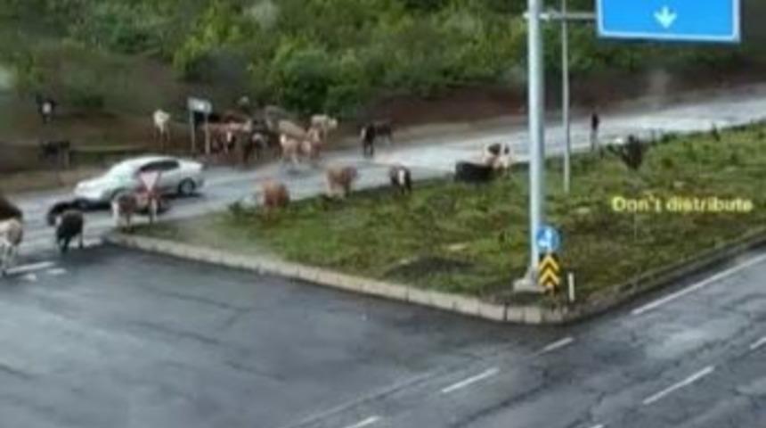 (&ouml;zel Haber) Mobese Kameralarına Yansıyanlar "bu Kadar Da Olmaz" Dedirtti