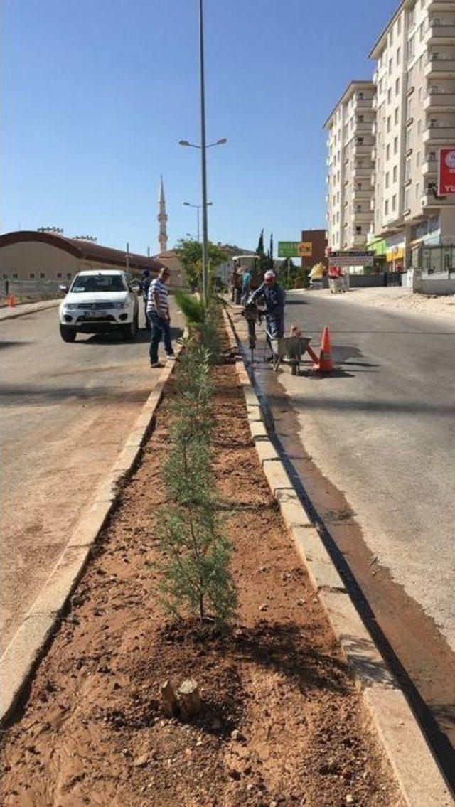 Kilis’te, Park Ve Bahçe Düzenlemeleri Sürüyor