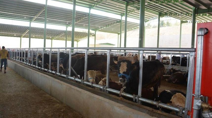 Besicilere &Ouml;n Kayıt Uyarısı