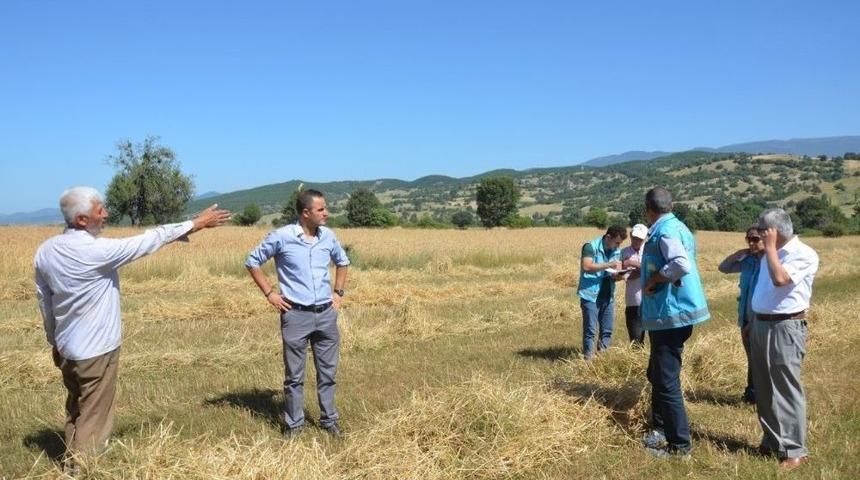 Simav&rsquo;da Anız Yangınlarına Karşı Tedbir Alındı