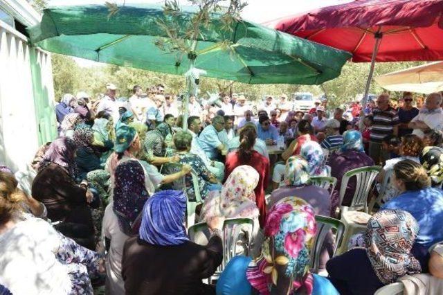 Gülpınar'daki Zeytin Nöbetine Destek Geldi