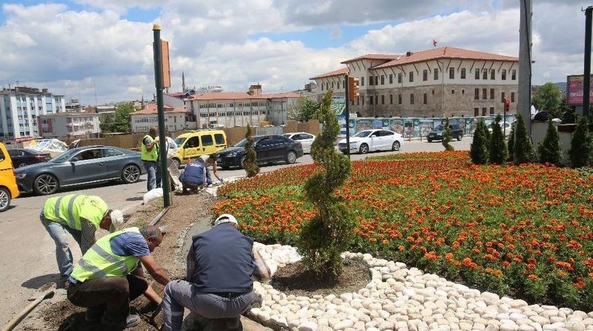 Sivas&rsquo;a N&uuml;fusu Kadar Ağa&ccedil; Ve Bitki Dikildi