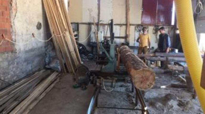 Babadan Oğula Kerestecilik