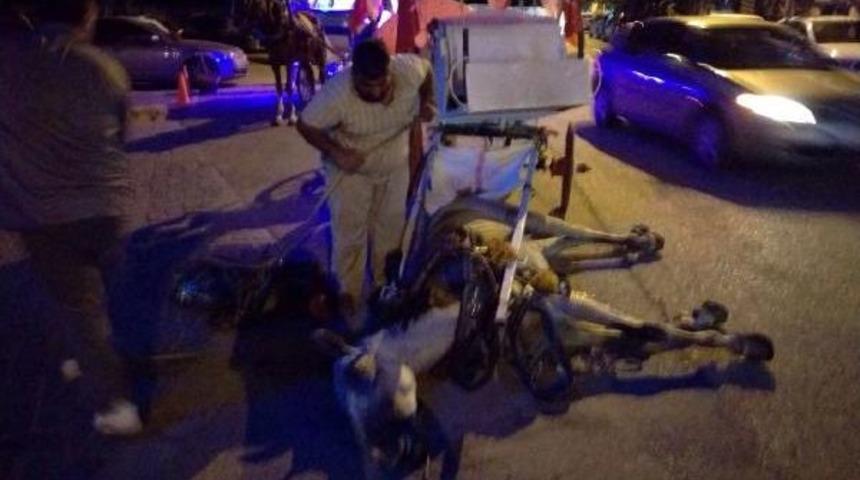 Faytoncu, Sıcak Ve Susuzluktan Telef Olan Atı Bırakıp Ka&ccedil;tı