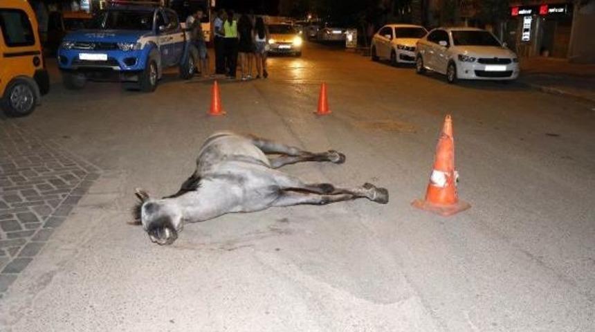 &Ouml;len Atı Bırakıp Ka&ccedil;an Faytoncuya Ağır Ceza