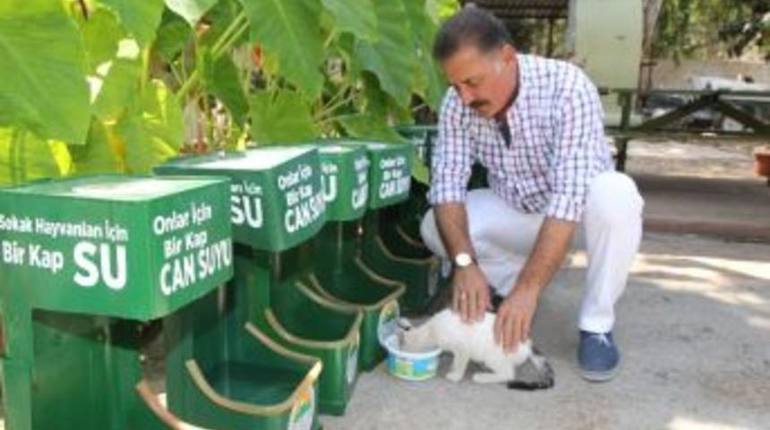 Sokak Hayvanlarına Geri D&ouml;n&uuml;ş&uuml;mden Su Kabı