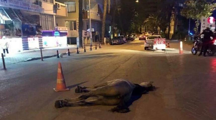 Antalya&rsquo;da İnsanlık Dışı G&ouml;r&uuml;nt&uuml;