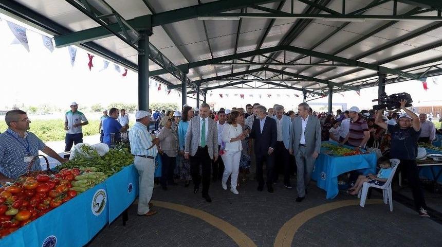 Organik Pazar Yarın A&ccedil;ık