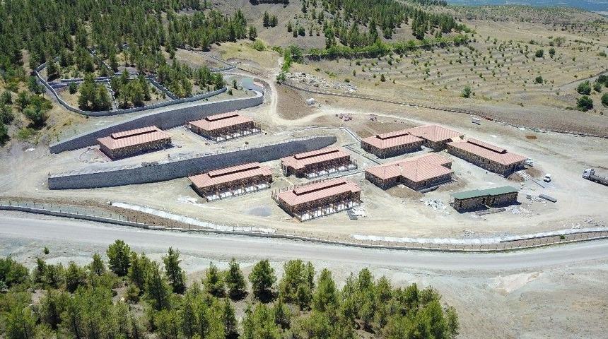 B&uuml;y&uuml;kşehirden Sokak Hayvanları İ&ccedil;in Doğal Yaşam Alanı