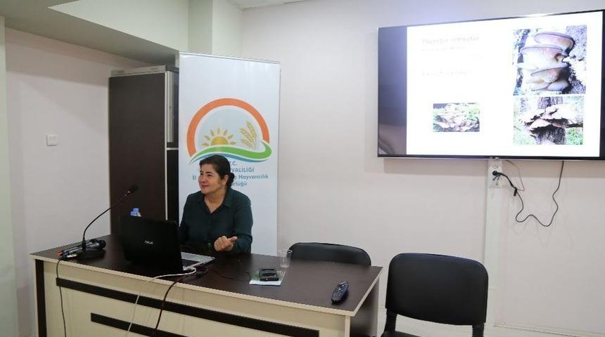 &Uuml;reticilere, Kayın Mantarına Y&ouml;nelik Bilgilendirme Toplantısı