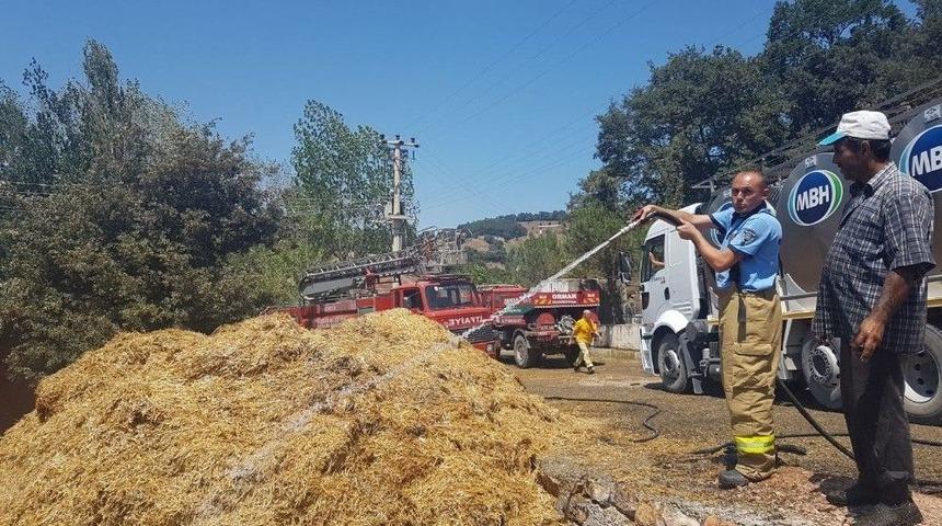 700 Balya Saman K&uuml;l Oldu