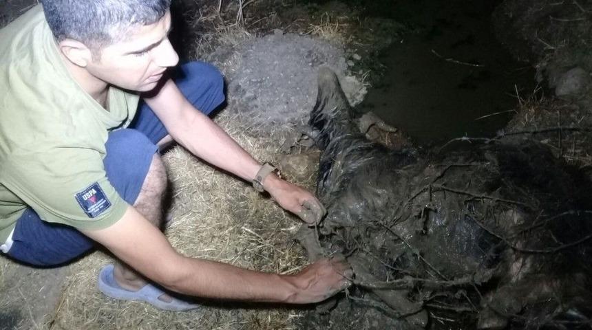 Su Kanalına D&uuml;şen Ke&ccedil;i 6 Saatlik &Ccedil;alışmayla Kurtarıldı