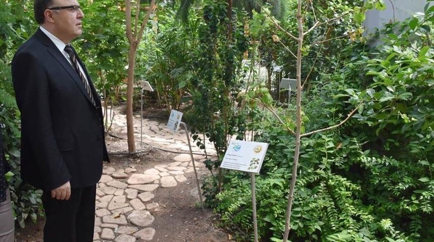 Vali Tutulmaz: &ldquo;tıbbı Ve Aromatik Bitkiler Merkezi Daha Fazla Tanıtılmalı&rdquo;