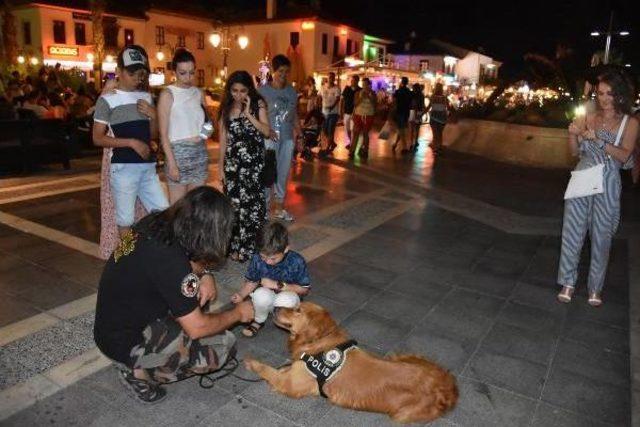 Marmaris Barlar Sokağı'nda Huzurlu Eğlence Denetimi