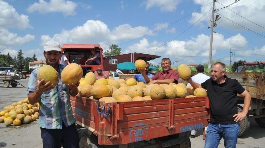 Bafra Ovası&rsquo;nda &Uuml;reticiyi Nakliye Vurdu